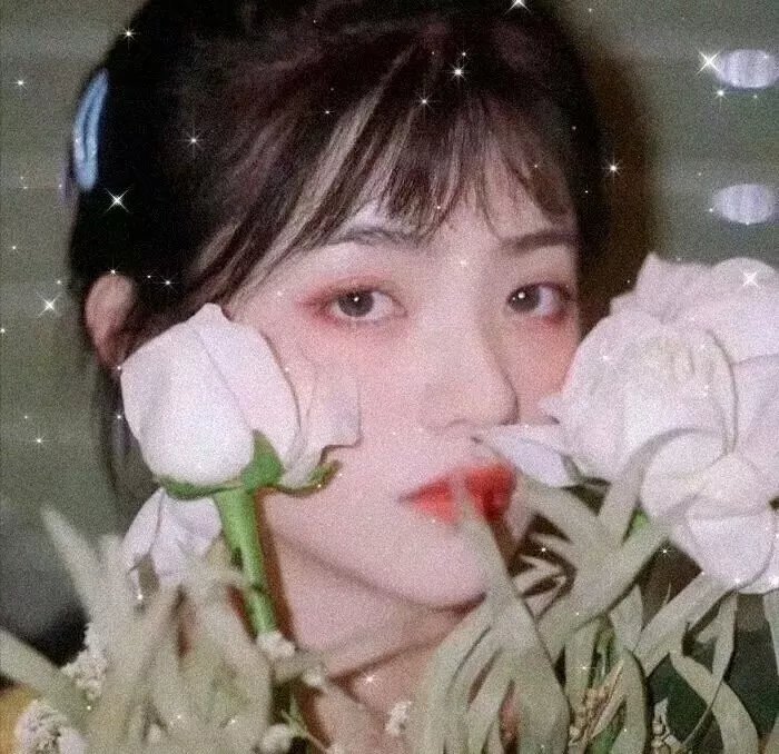 嘎喳嘎喳的鸟